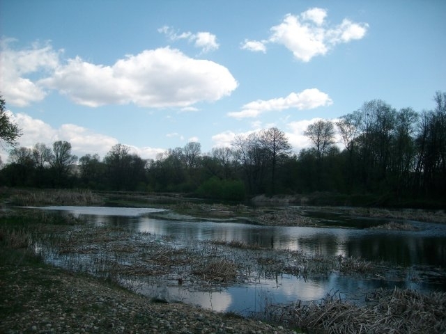 Приета е рекултивацията на хвостохранилище за минни отпадъци Голям Буковец