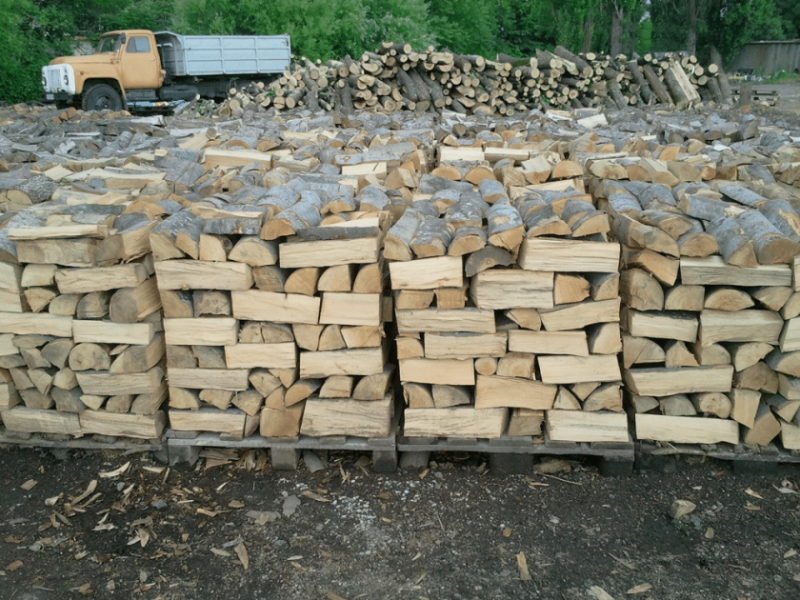 С наближаването на зимата цената на дървата за огрев и