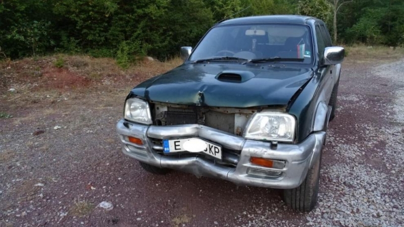 Джип се заби в дърво заради излезли на пътя крави