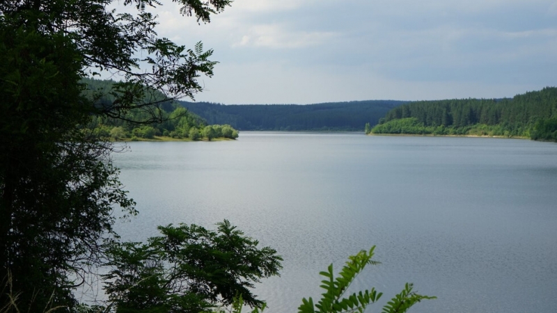 Благодарение на предприетите от Министерството на околната среда водите мерки