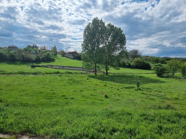Днес духа слаб до умерен вятър от изток североизток Минималните температури