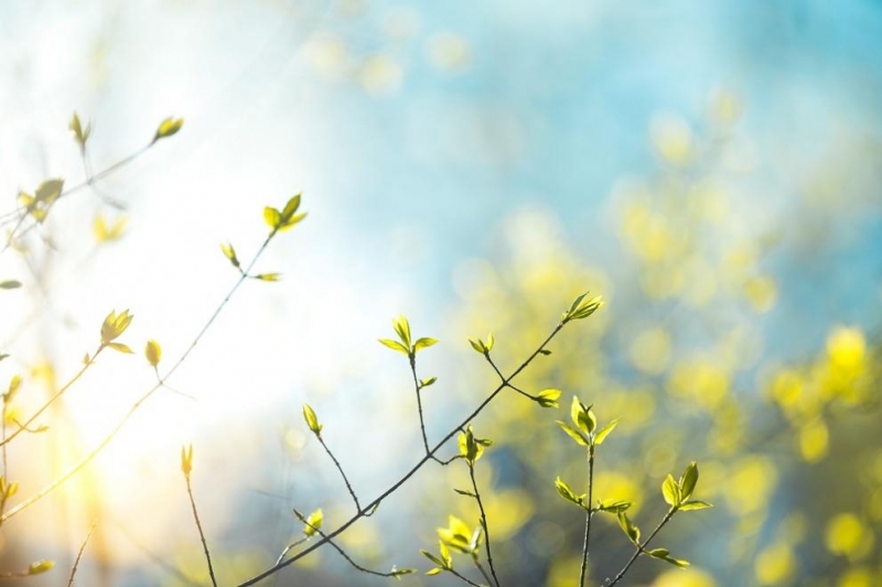 В сряда преди обяд ще е предимно слънчево След обяд