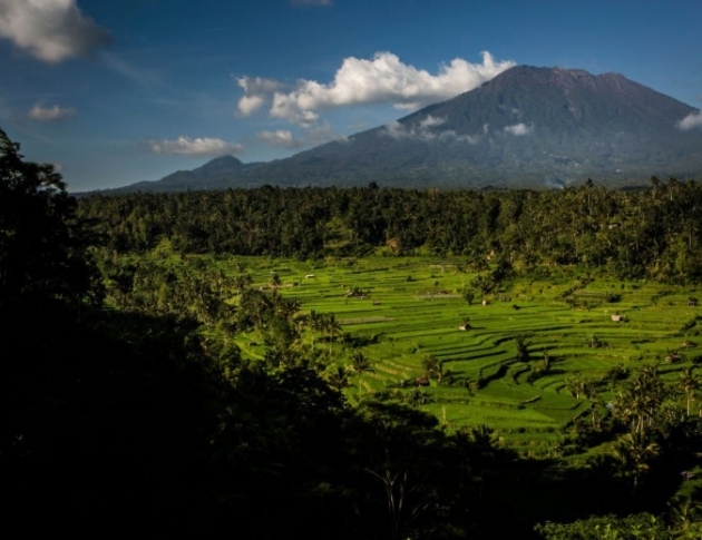 Трус с магнитуд 6 1 предизвика паника на остров Бали Има сгради