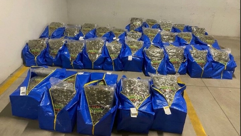 ГДБОП и ДАНС с удар в София! Заловиха големи количества наркотици /снимки/