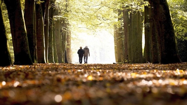 Най ниските температури през ноември ще бъдат между минус 5 и