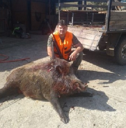 Ловец от берковското село Замфирово гръмна голям глиган в последния