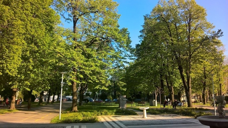 Кметът на Община Видин д р Цветан Ценков издаде заповед с