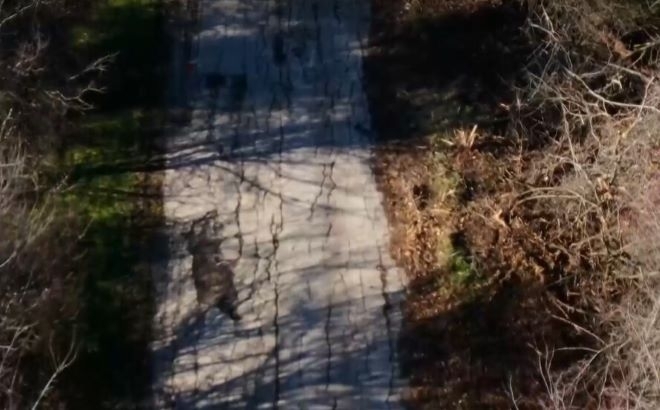 Път във Видинско е осеян с дълбоки дупки десетки жители