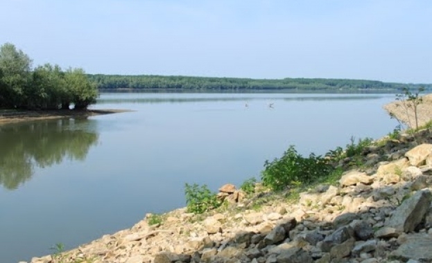 Почистване на бреговата ивица на река Дунав се провежда в