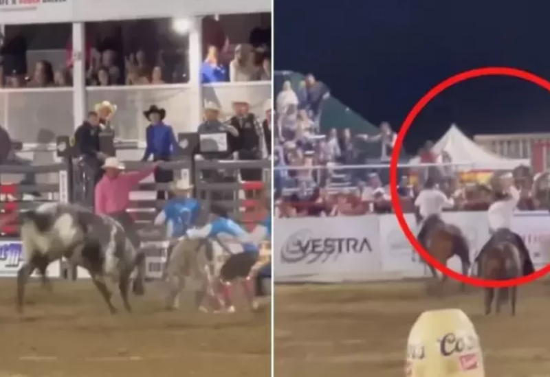 Пълен хаос настъпи на родео което се проведе преди няколко