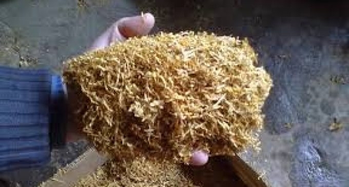 Полицията е хванала контрабандист на тютюн във Врачанско Вчера към