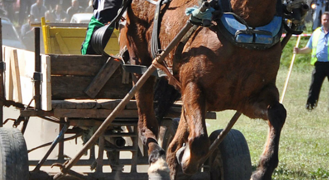 Мъж е загинал след инцидент с каруца съобщиха от пресцентъра