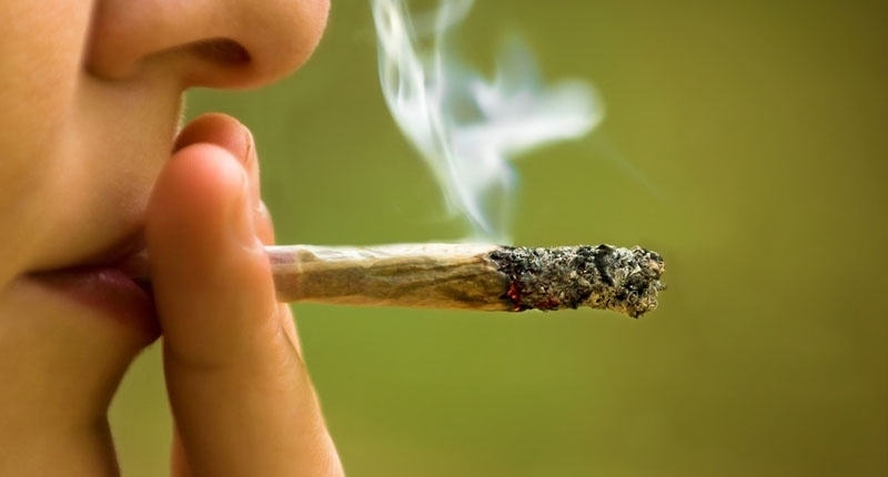 Всекидневната употреба на силна марихуана може да повиши петкратно вероятността