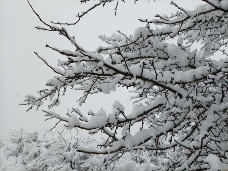 В понеделник ще продължи да прониква студен въздух и температурите