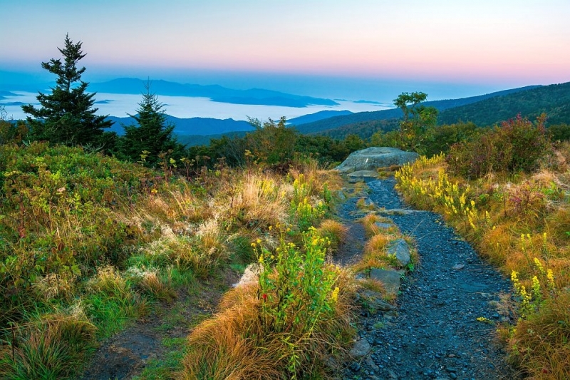 Силна вяра в себе си усмивка на лицето и здрави