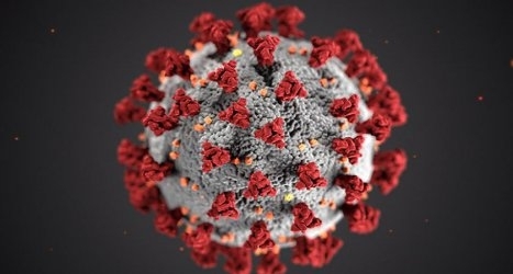 Новите лабораторно доказани случаи на коронавирус за денонощието са 37.