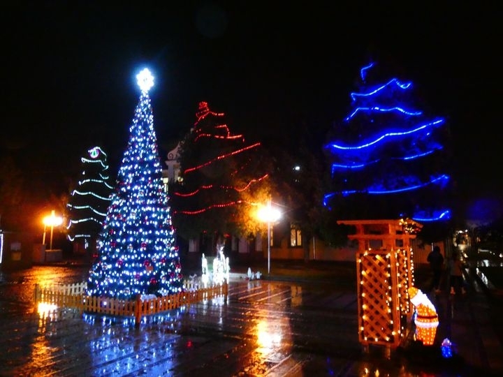Вижте кога ще грейне коледната елха в Лом