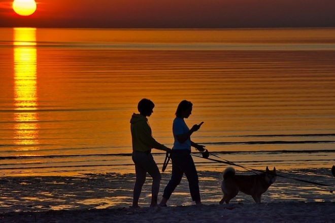 Варна слага край на разходките на кучета по плажа За