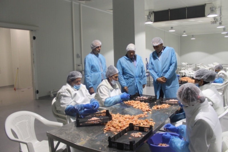 Инспекцията по труда проверява условията за работа в завод за