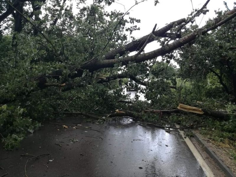 Движението от Монтана към София през прохода Петрохан е затруднено заради