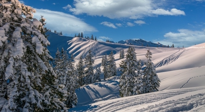Полицаи и доброволци спасиха мъж изгубил се в района на