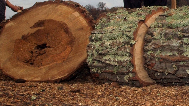 На 29 ноември във Видин е проведена специализирана операция по