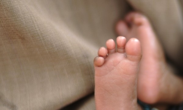 Демографската криза в която е изпаднала България се превръща в