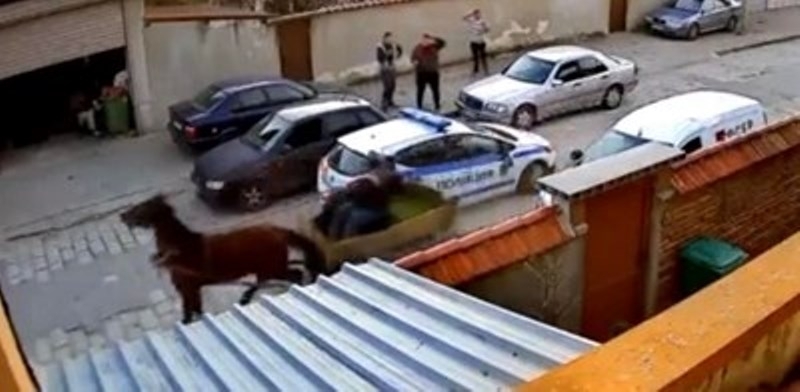 Подплашен кон теглейки каруца се вряза странично в полицейска патрулка