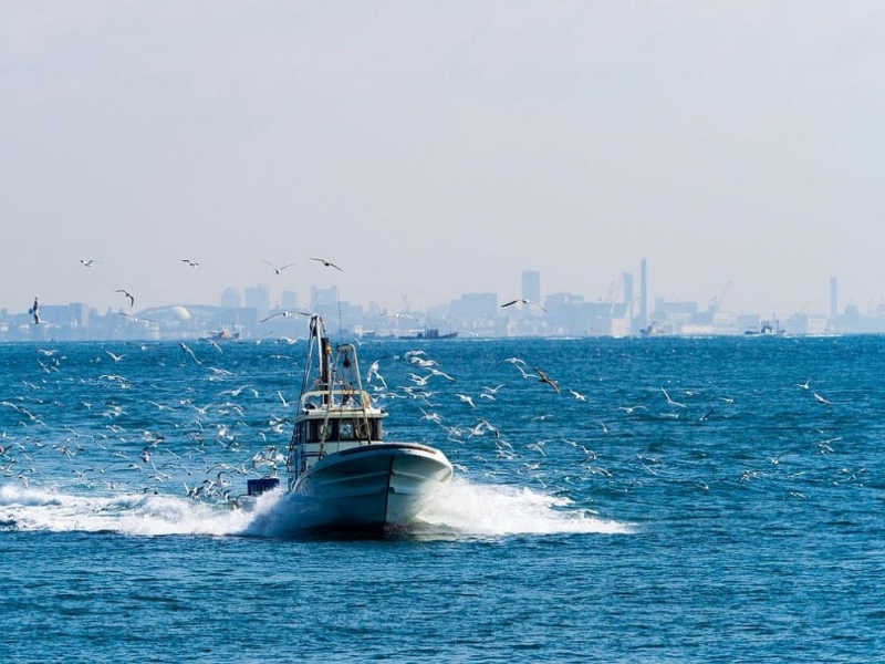 Турскo семейство загина при инцидент с моторна лодка в курорта