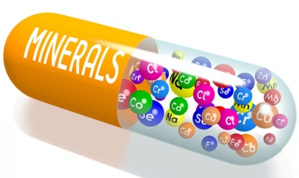 Метаболизмът е процес при който организмът разгражда храната и хранителните вещества