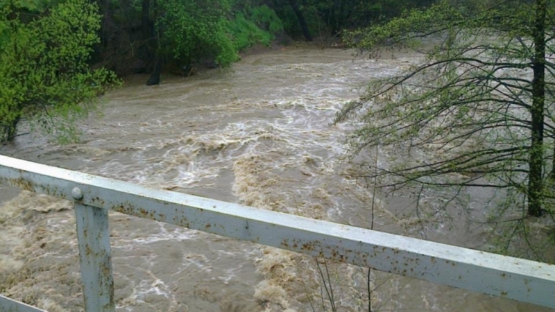 Ново проучване на WWF идентифицира рискове за екосистемата на река