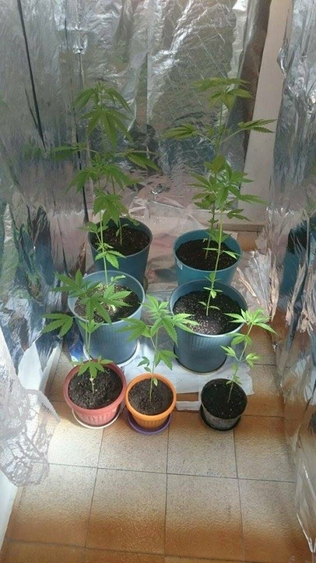 29 годишен видинчанин е задържан в ареста след като превърнал дома