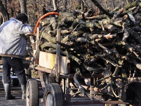 Полицейски служители засекли две конски каруци с незаконни дърва информираха