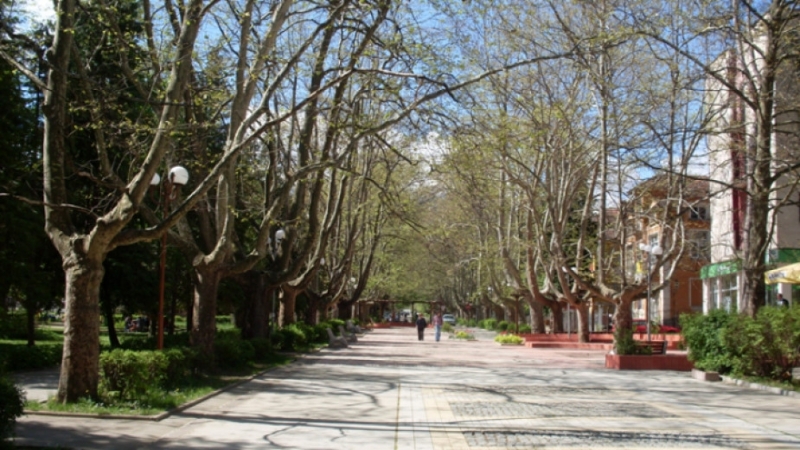 Ученици от театралната трупа при училище Иван Вазов във Вършец