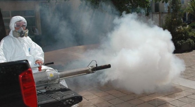 От 5 часа днес в Лом започна наземно третиране на