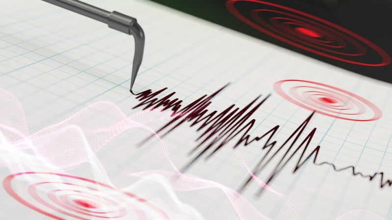 Земетресение с магнитуд 4,7 по Рихтер е регистрирано на територията