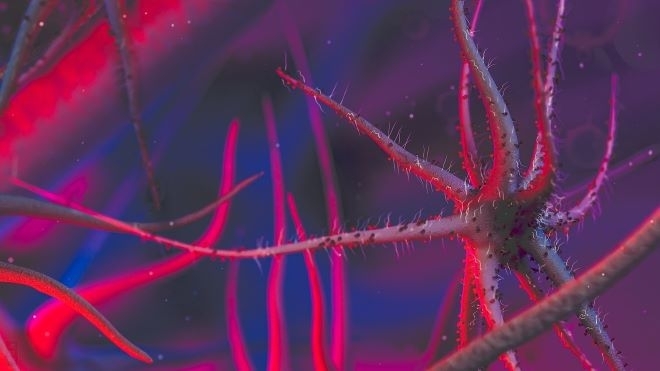 Малко дистанция да се спазва от новородените това непрекъснато