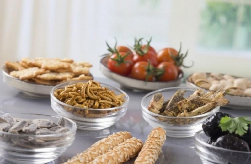 Искате да похапнете печен щурец Няма проблем Можете да си