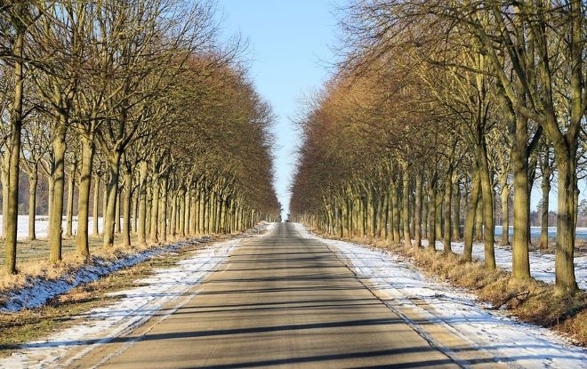 През деня ще бъде предимно слънчево с разкъсана висока облачност Ще духа