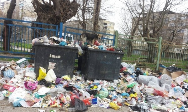Общини в Пазарджик и Благоевград може да обявят бедствено положение