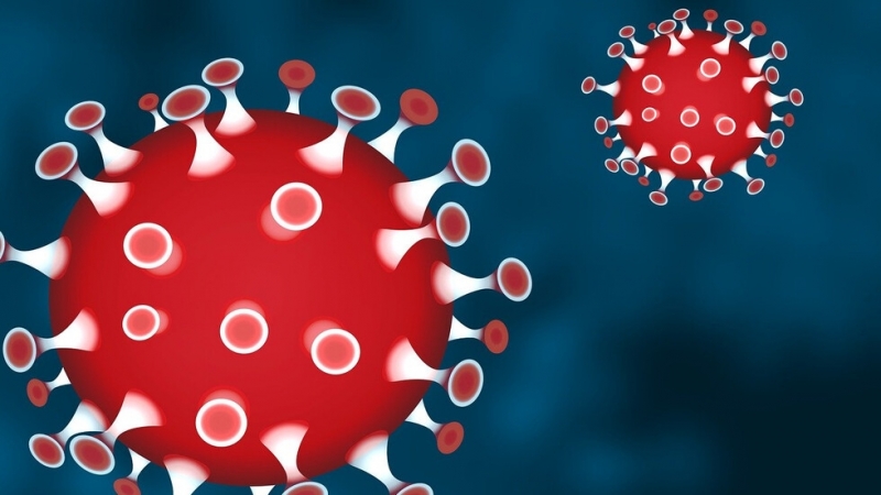 Новият коронавирус може да оцелее в продължение на часове извън