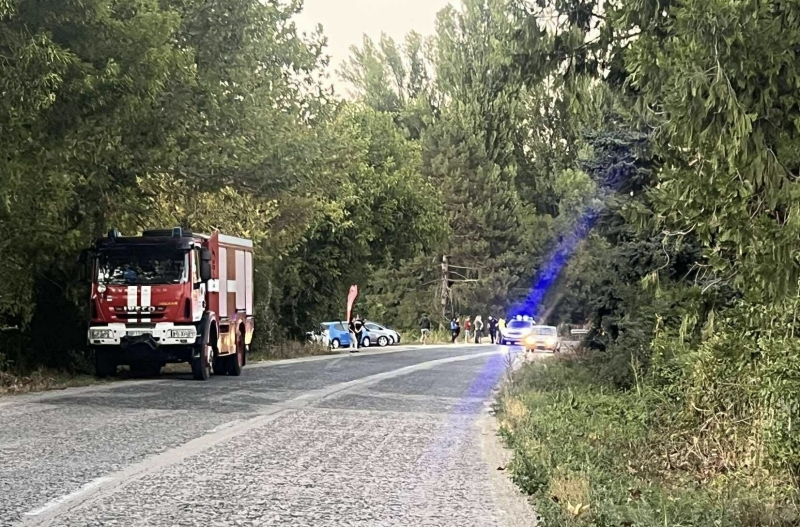 Кола и камион на Еконт се удариха край Враца видя