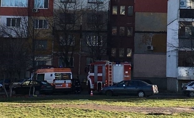 Див екшън се е разиграл в навечерието на Нова година