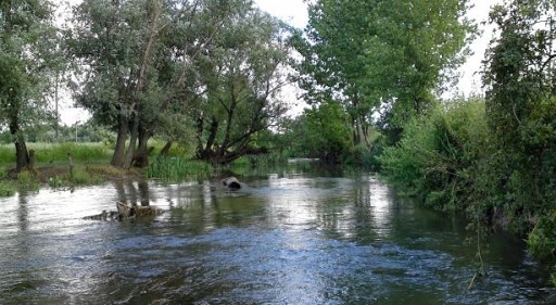 Експерти от РИОСВ Враца извършиха незабавна проверка по сигнал