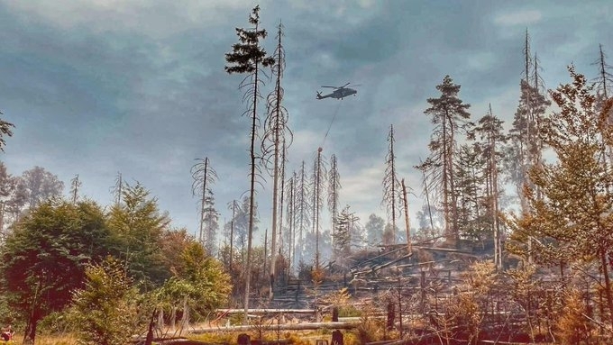 Противопожарни екипи се борят с пожар в националния парк "Саксонска