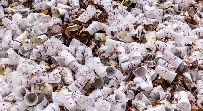 Съставителите на речника Collins English Dictionary обявиха за дума на