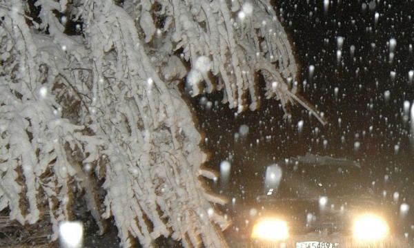 Два трупа на мъж и жена са намерени в автомобил