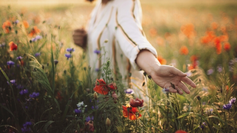 На 24 юни честваме един необикновен празник Еньовден Няколко