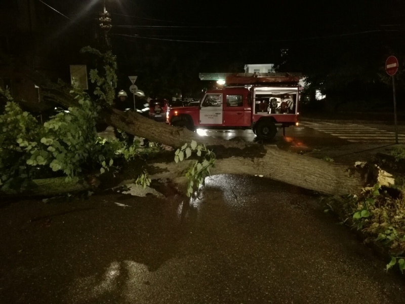 Видински огнеборци отстраняваха дървета паднали на пътя съобщават от пресцентъра