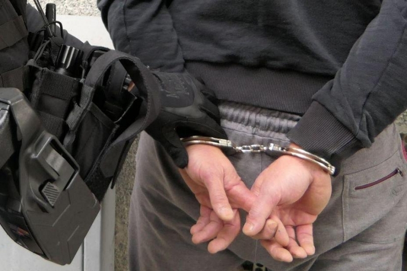 Полицаи разкриха извършителя на ало измамите в Ломско, съобщиха от